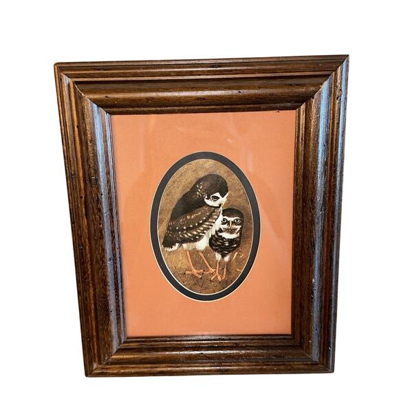 Unbranded Other - Vintage Transart Industries Baby Owl Double Matted Wood Framed Wall Art 8" Boho